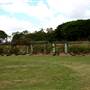 New Farm Park