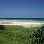 Nobby Beach and Headland