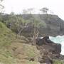 Noosa Cliffs