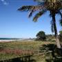 Palm Beach South