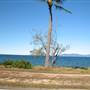 Picnic Bay (Magnetic Island)