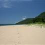 North Palm Cove to Ellis Beach