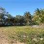 Radical Bay (Magnetic Island)