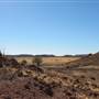 Rangelands Station