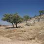 Rangelands Station