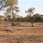 Rangelands Station
