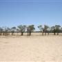 Rangelands Station
