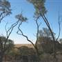 Rangelands Station