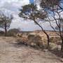 Rangelands Station