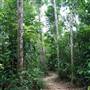 Mission Beach (Cairns Region FNQ)