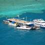 Hardy Reef (Reefworld Plantoon)