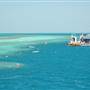 Hardy Reef (Reefworld Plantoon)
