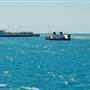 Hardy Reef (Reefworld Plantoon)