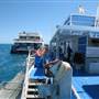 Hardy Reef (Reefworld Plantoon)