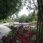 Gold Coast Regional Botanic Gardens - Rosser Park