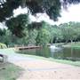 Gold Coast Regional Botanic Gardens - Rosser Park