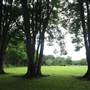 Gold Coast Regional Botanic Gardens - Rosser Park