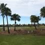 Gold Coast Regional Botanic Gardens - Rosser Park
