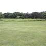 Gold Coast Regional Botanic Gardens - Rosser Park