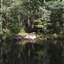 Silky Oaks Lodge - Mossman