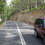 Springbrook National Park