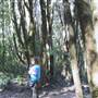 Springbrook National Park