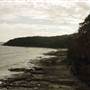 Noosa - Tea Tree Beach Area