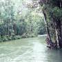 Tully River