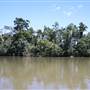 Tully River