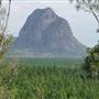 Mt Tibrogargan