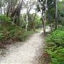Minjeeribah (North Stradbroke Island) - Home Beach
