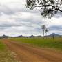 Long Straight Country Road - Purga
