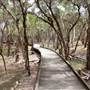Purga Nature Reserve