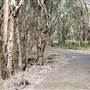 Purga Nature Reserve