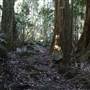 Tamborine National Park