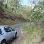 Winding Scenic Mountain Road - National Park