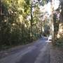 Winding Scenic Mountain Road - National Park
