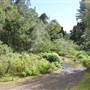 O'Reillys Rainforest Retreat