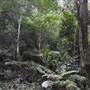 Moran Falls