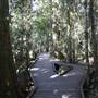 O'Reillys Rainforest Retreat