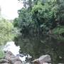 Upper Maroochy River