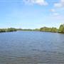 Maroochy River / Old Rail Bridge