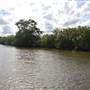 Maroochy River / Old Rail Bridge