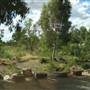 Moondarra River Road - Low Bridge