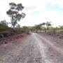 Leichhardt River Rd - Off-Road