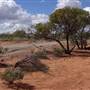 Leichhardt River Rd - Off-Road