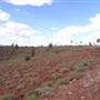 Telstra & Mount Isa Radio Station Hill