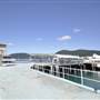 Shute Harbour