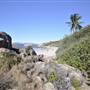 Horseshoe Bay (Bowen)