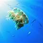 Great Barrier Reef